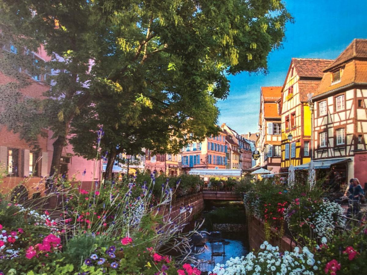 Gite De Charme Colmar Exteriér fotografie